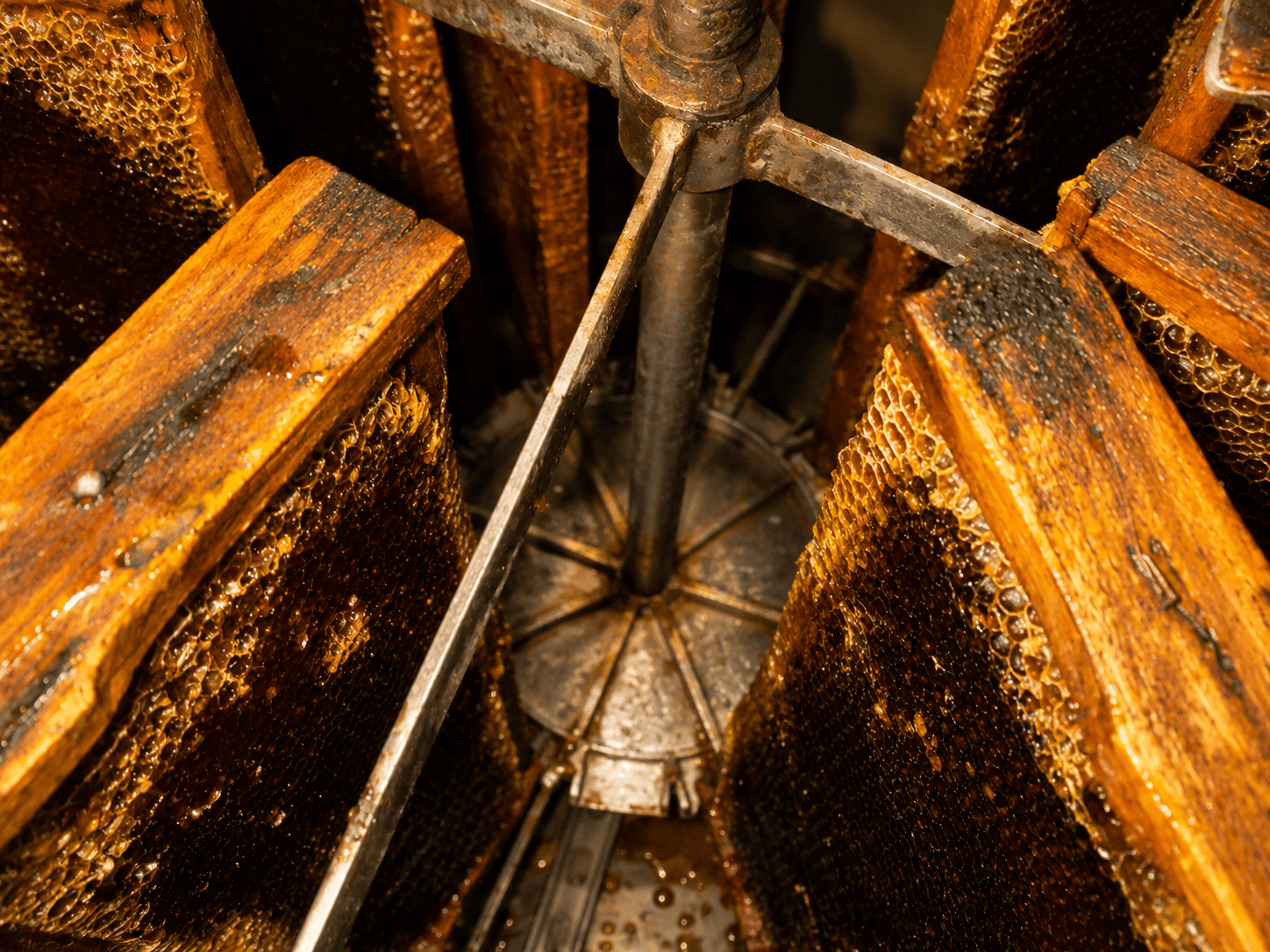 Extracción